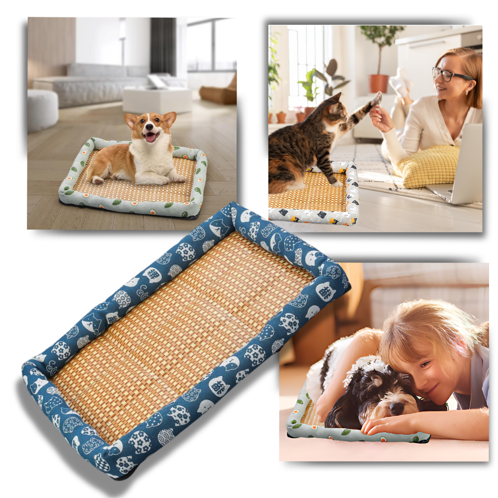 Tapis anti-dérapant et rafraîchissant pour animaux de compagnie
- Ozerty