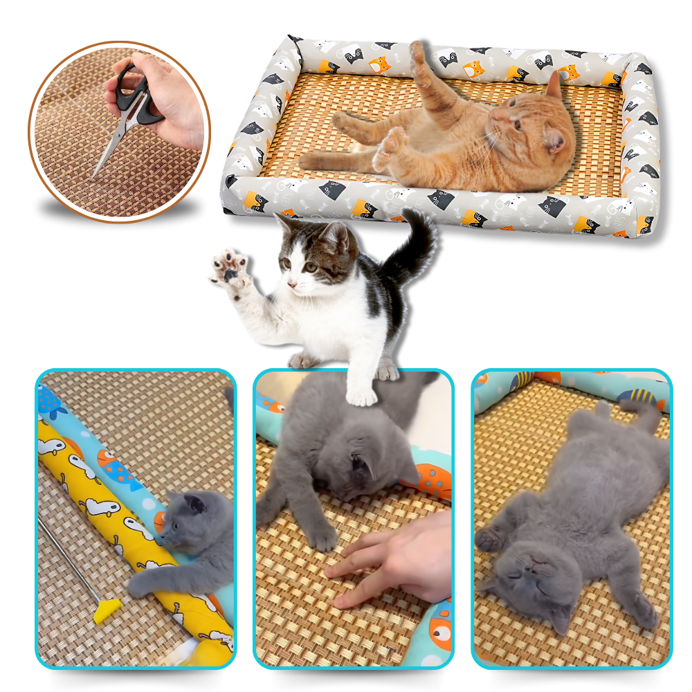 Tapis anti-dérapant et rafraîchissant pour animaux de compagnie
- Ozerty