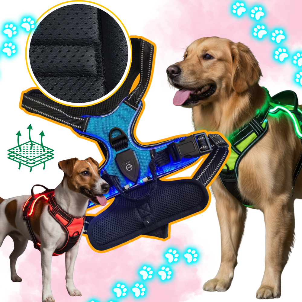 Harnais pour chien avec lumière LED clignotante - Ozerty
