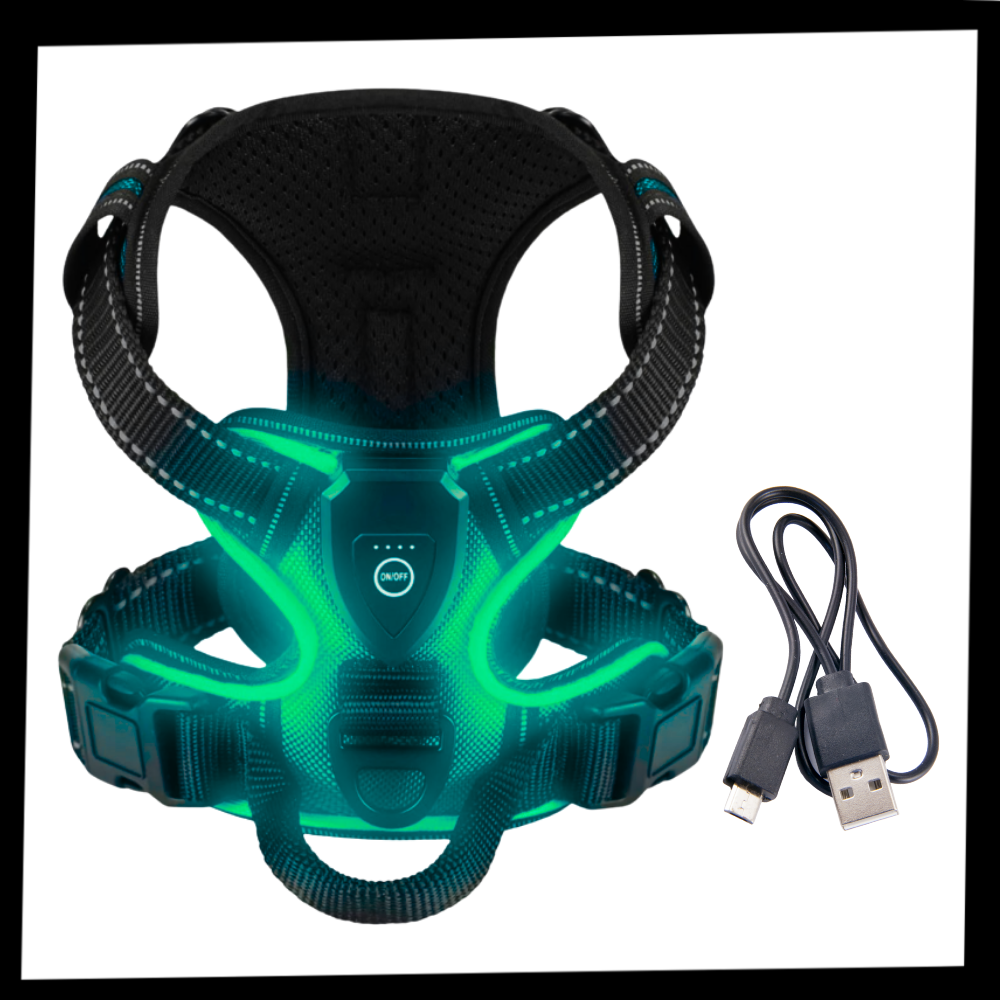 Harnais pour chien avec lumière LED clignotante - Ozerty