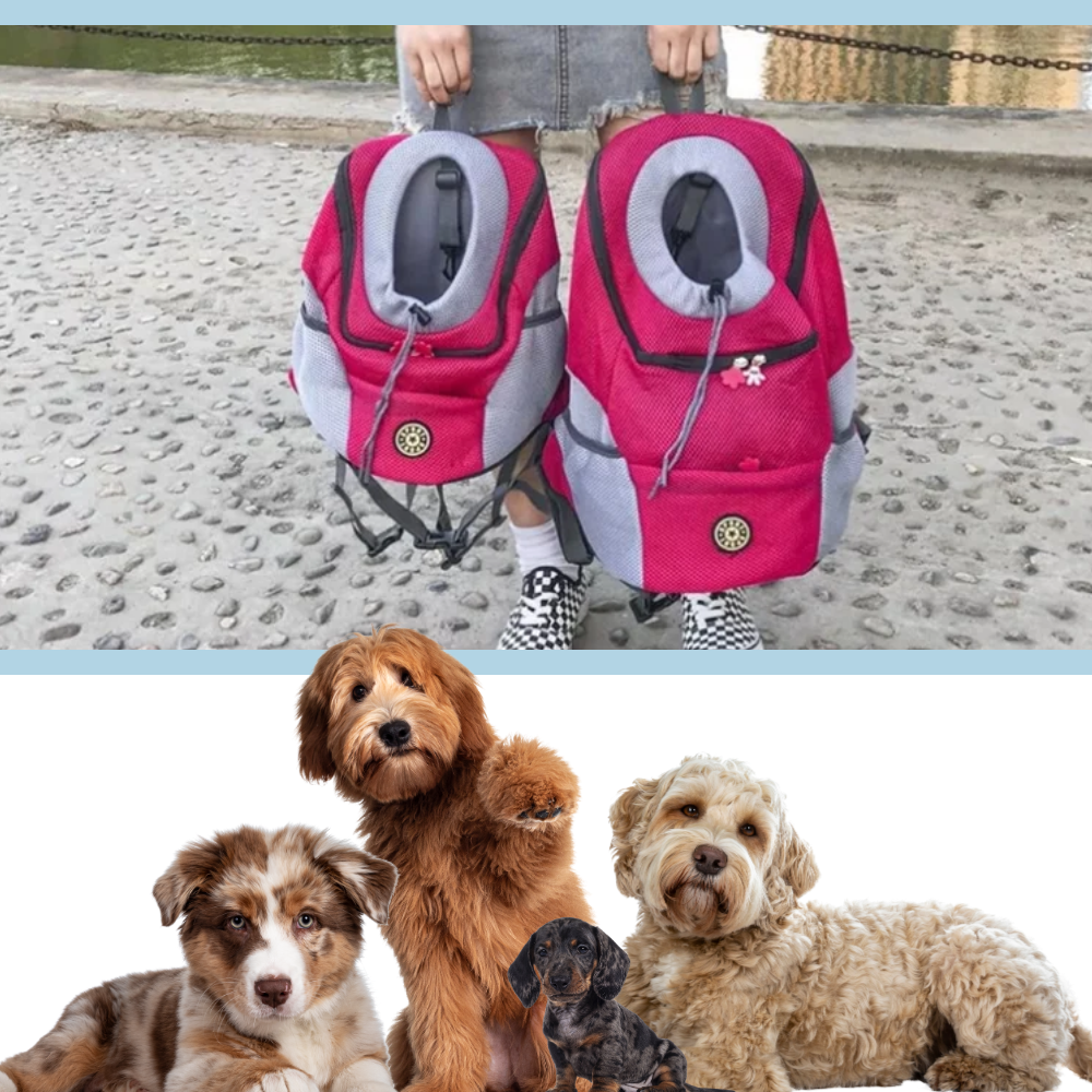 Sac à dos respirant de transport pour chien - Ozerty