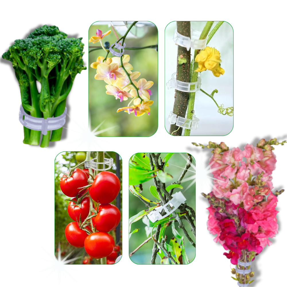 Support de plantes facile à clipser
- Ozerty
