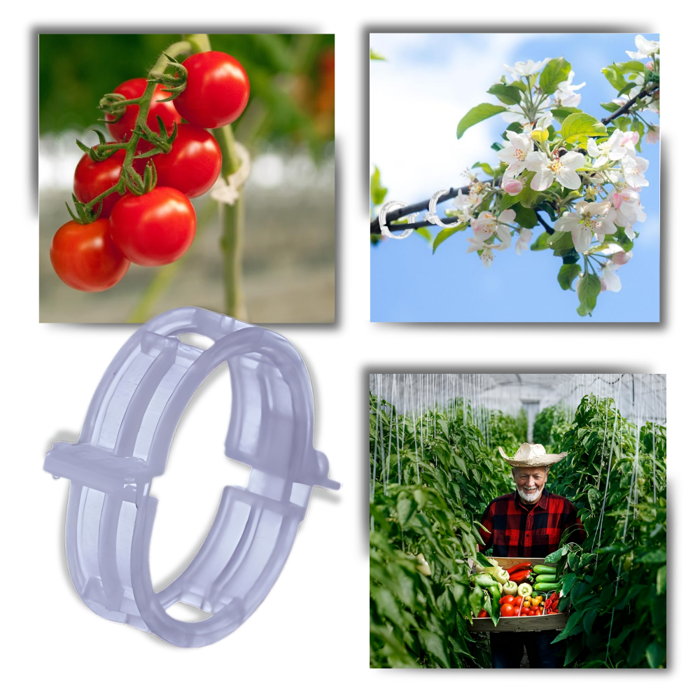 Support de plantes facile à clipser
- Ozerty