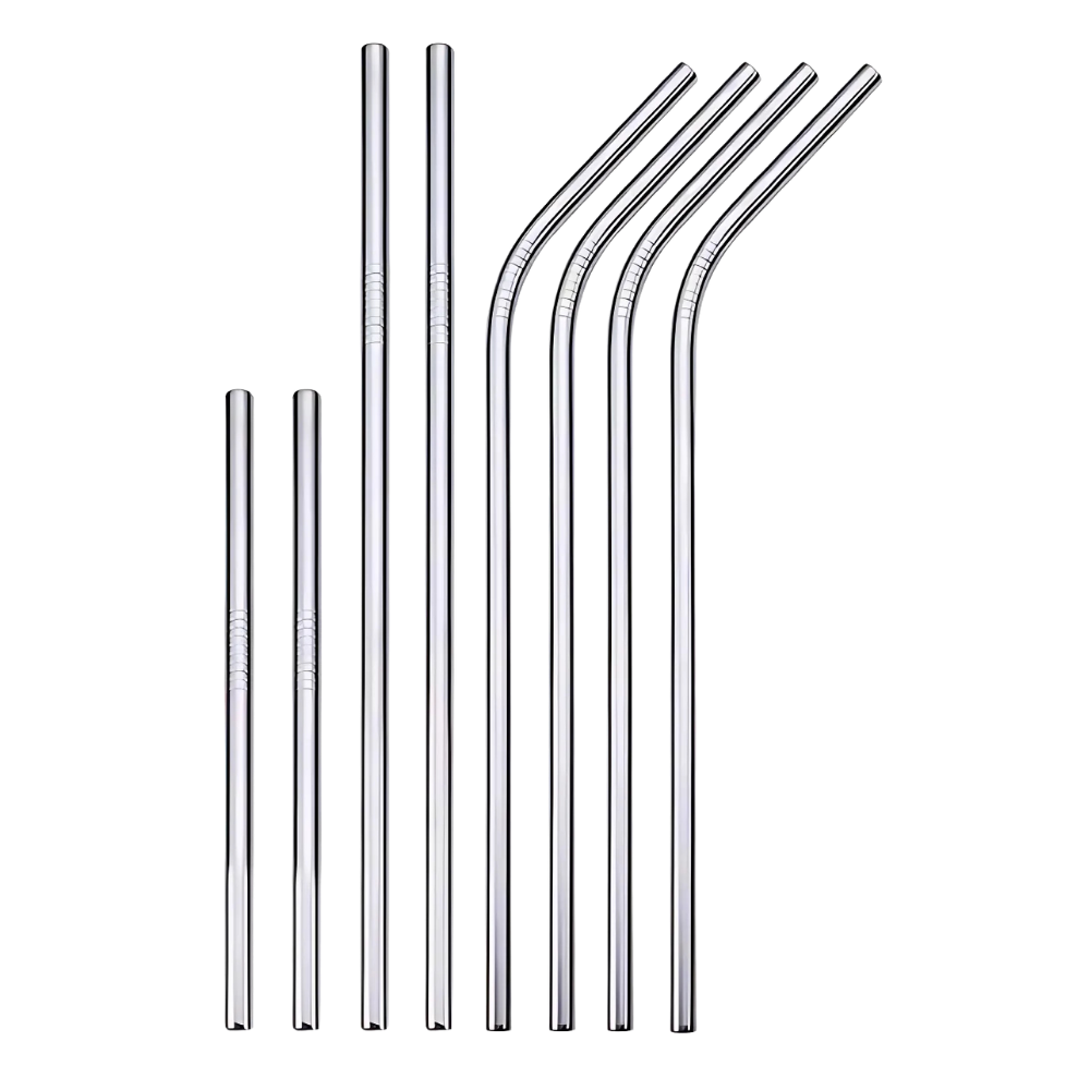 Paille réutilisable en acier inoxydable -Argent - Ozerty