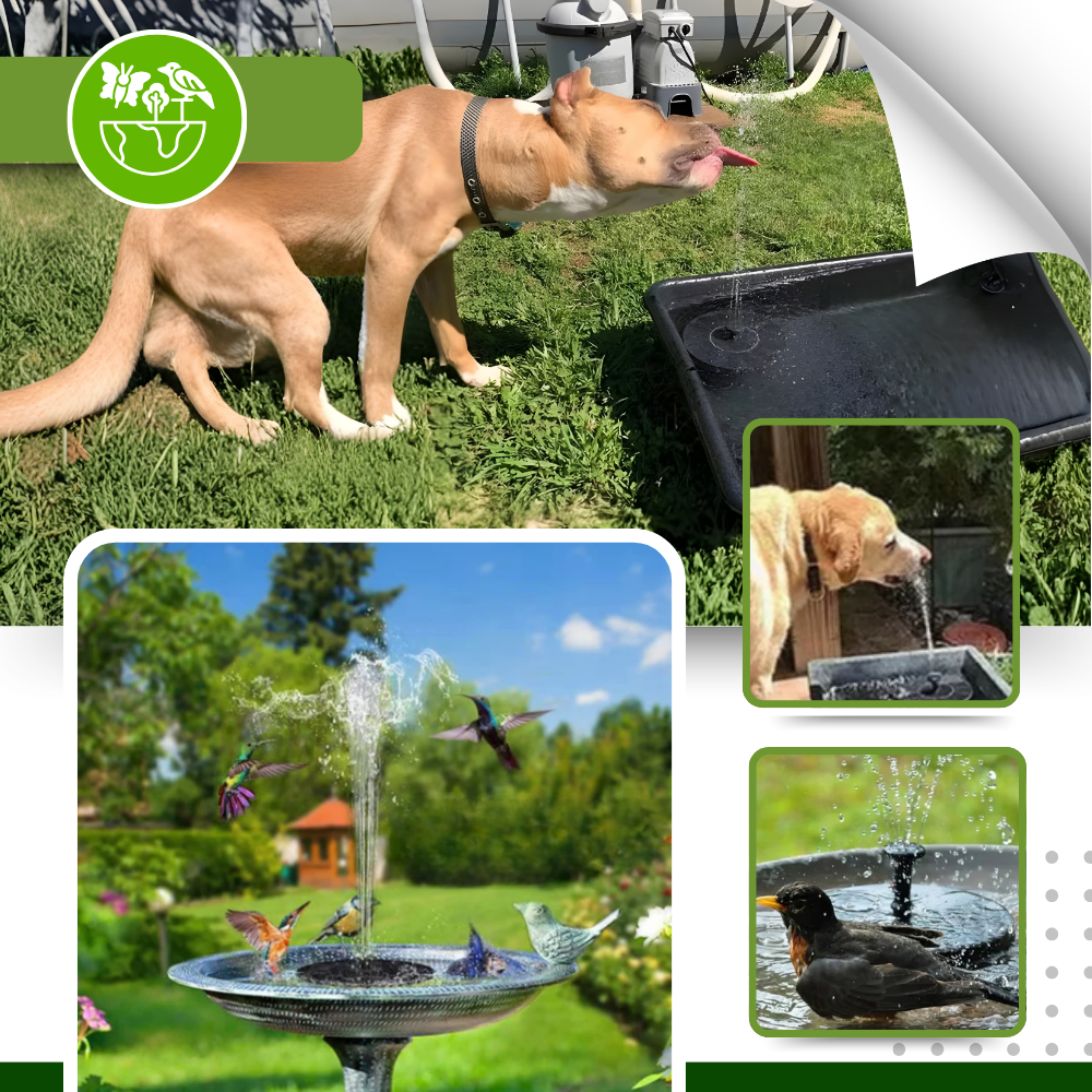 Fontaine solaire flottante de jardin - Ozerty