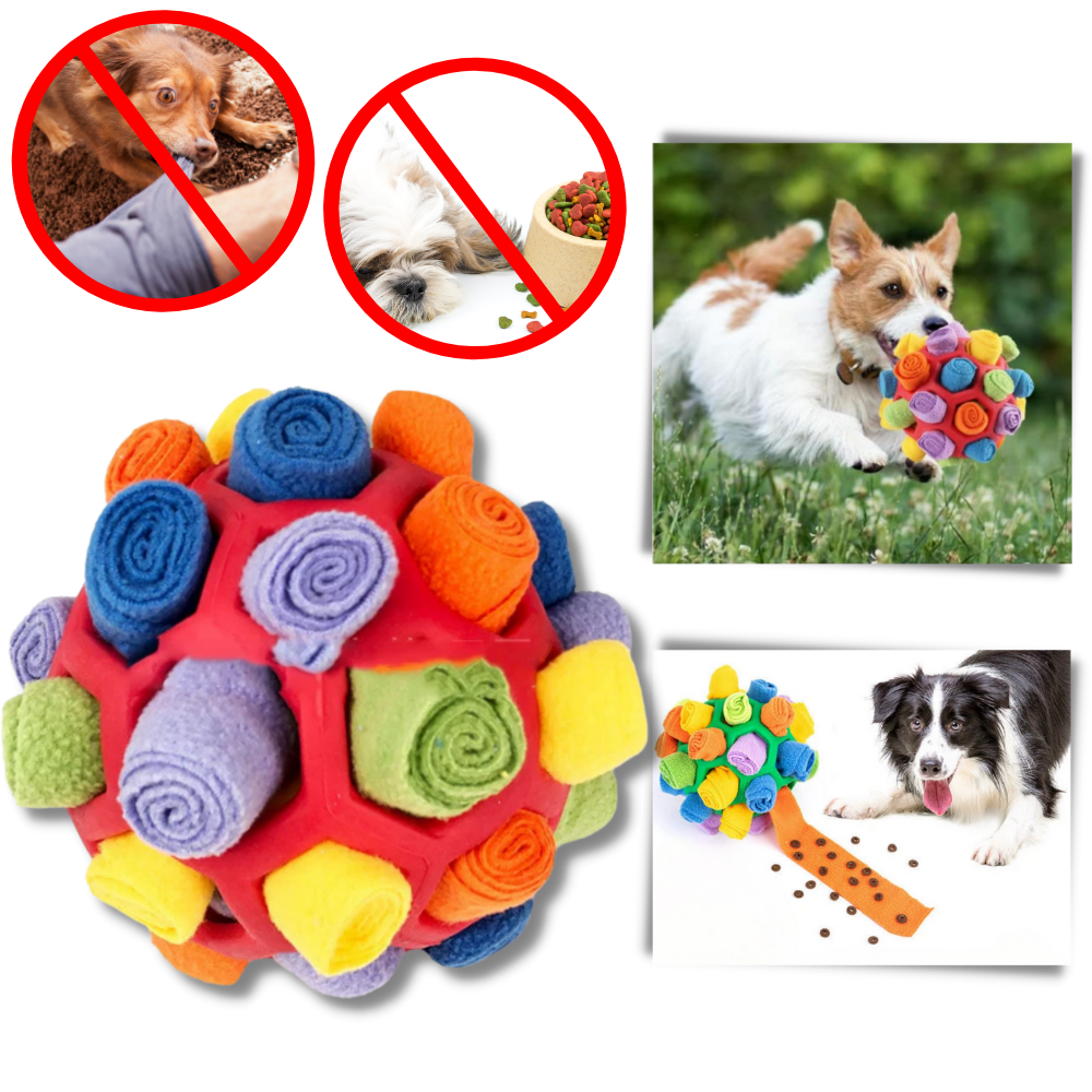 Balle à priser et de stimulation mental pour chiens
- Ozerty