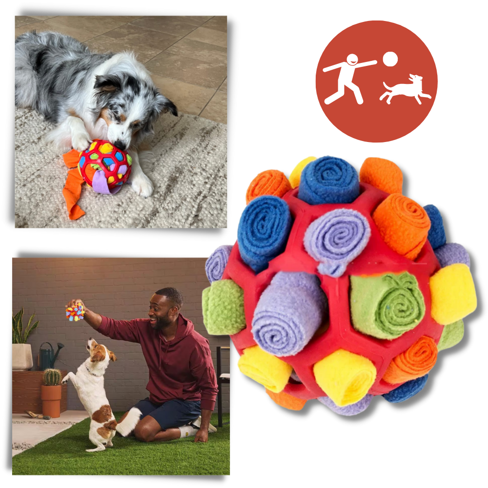 Balle à priser et de stimulation mental pour chiens
- Ozerty