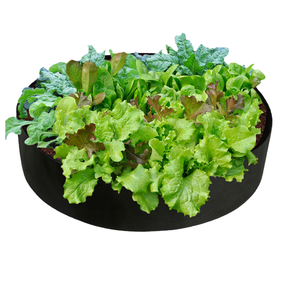 Sac de plantation respirant et polyvalent
-60x20 cm70x30 cm80x30 cm90x30 cm127x30 cm - Ozerty