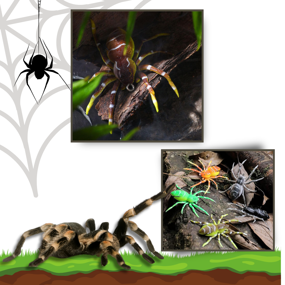 Appât de pêche en forme d'araignée à mouvements naturels
- Ozerty