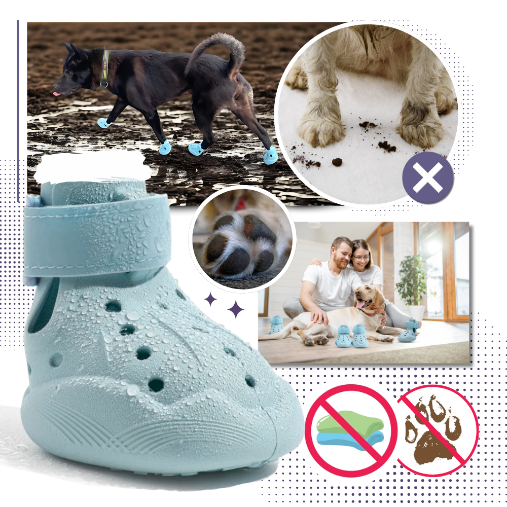 Bottines de protection pour pattes - Ozerty