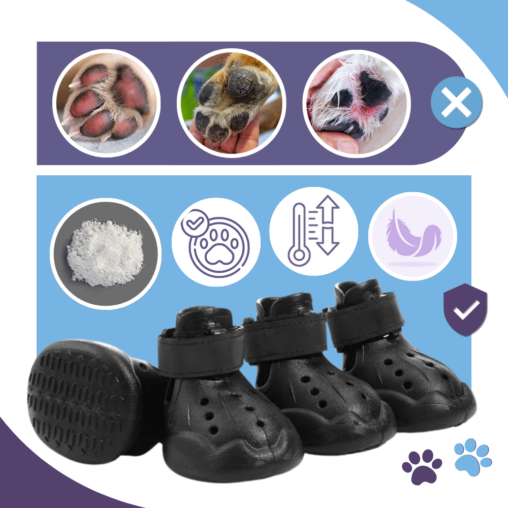 Bottines de protection pour pattes - Ozerty