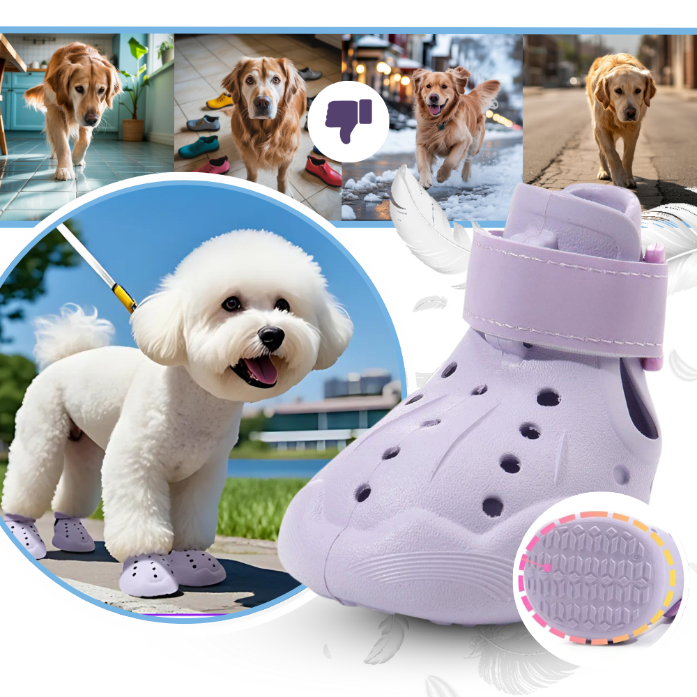 Bottines de protection pour pattes - Ozerty