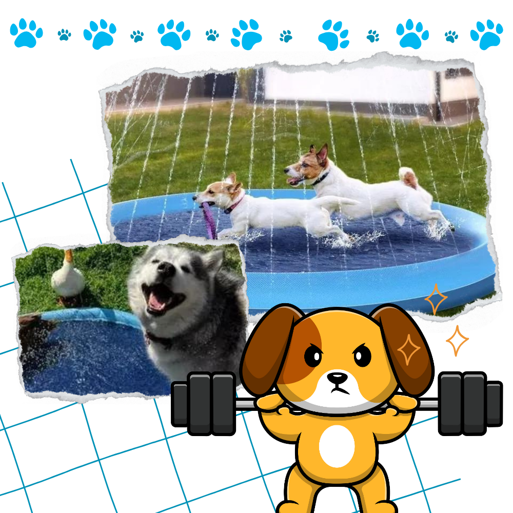 Pataugeoire portable pour chiens
- Ozerty