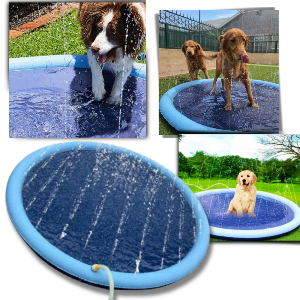 Pataugeoire portable pour chiens
- Ozerty