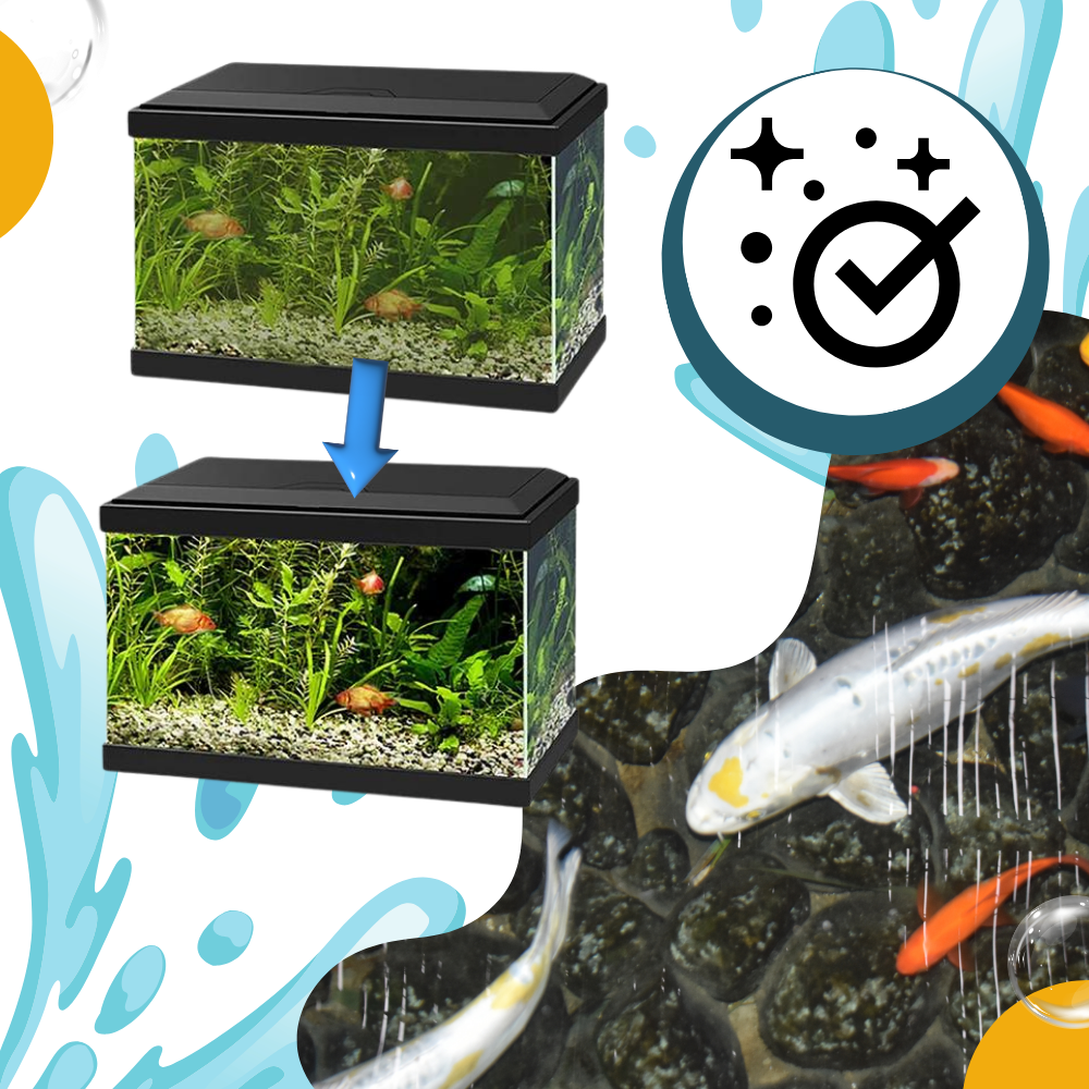 Produit anti-algues préventif pour aquarium - Ozerty