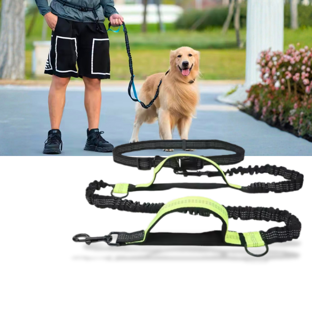 Laisse de sécurité mains-libres pour chien - Ozerty
