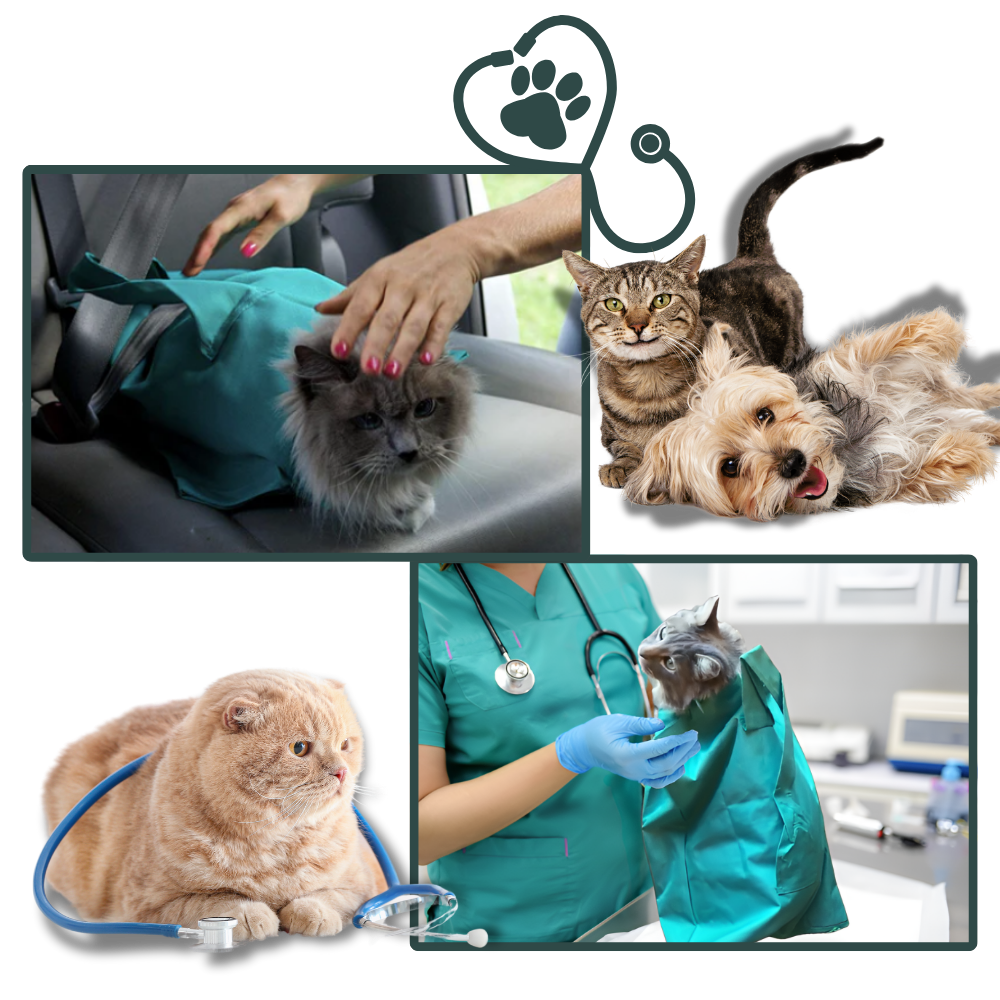 Sac de transport serein pour chat
- Ozerty