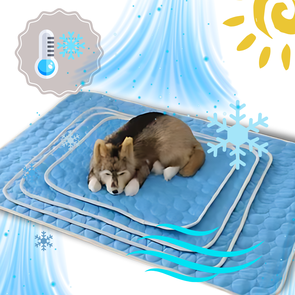 Tapis rafraîchissant en soie pour animaux de compagnie
- Ozerty