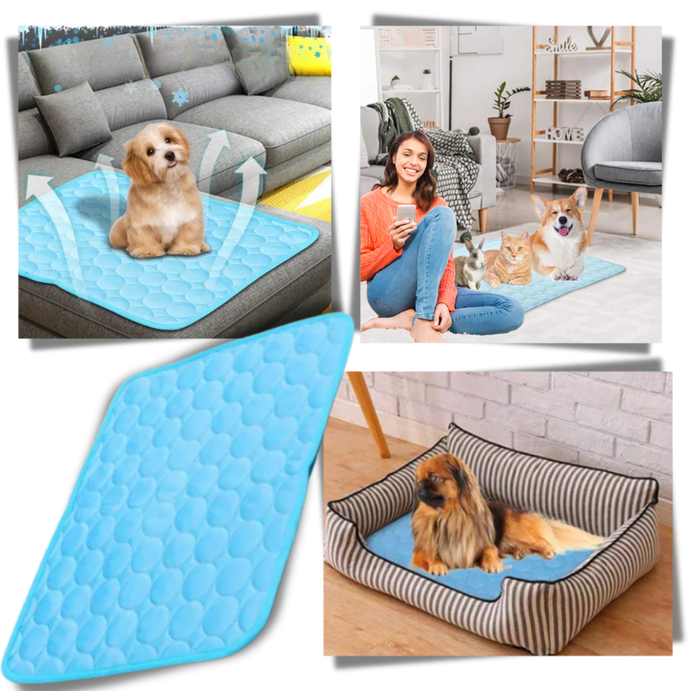 Tapis rafraîchissant en soie pour animaux de compagnie
- Ozerty