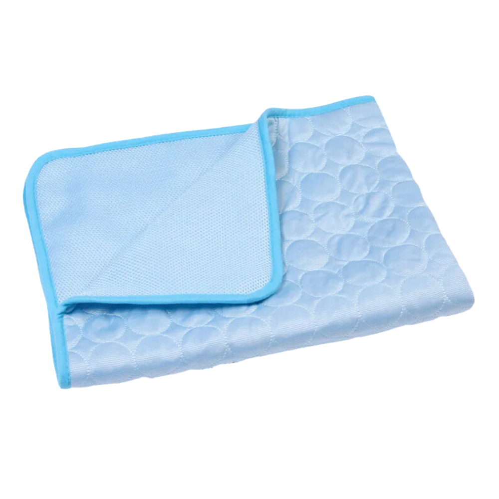 Tapis rafraîchissant en soie pour animaux de compagnie
-Bleu clair/XSBleu clair/SBleu clair/MBleu clair/LBleu clair/XL - Ozerty