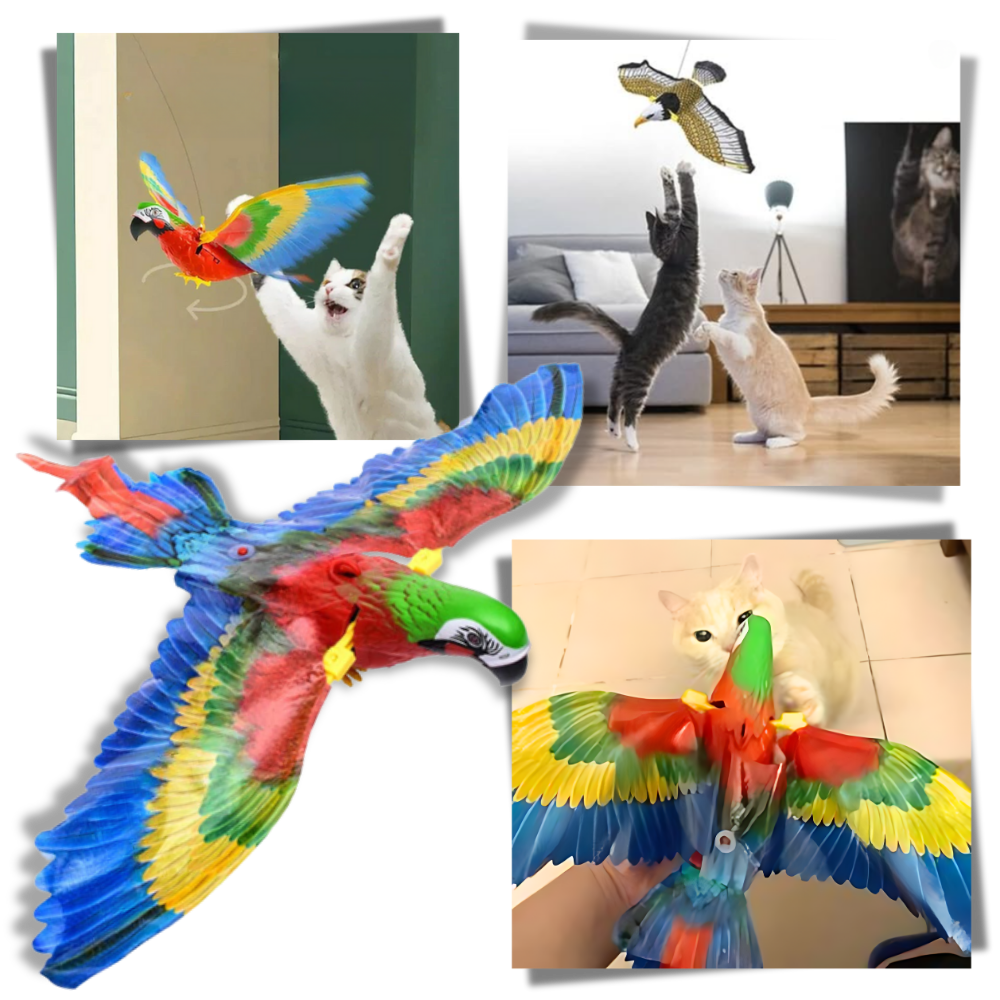 Jouet oiseau volant pour chat à suspendre
- Ozerty