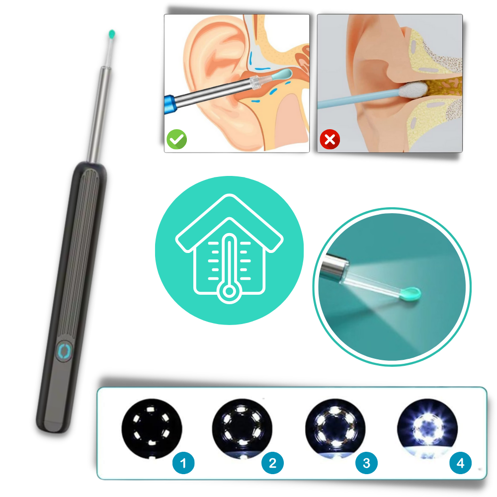 Caméra de nettoyage d'oreille pour retirer le cérumen
- Ozerty