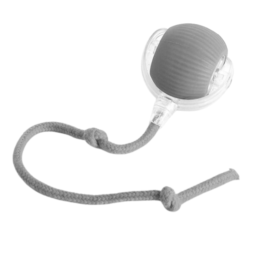 Jouet interactif intelligent pour chats -Gris - Ozerty