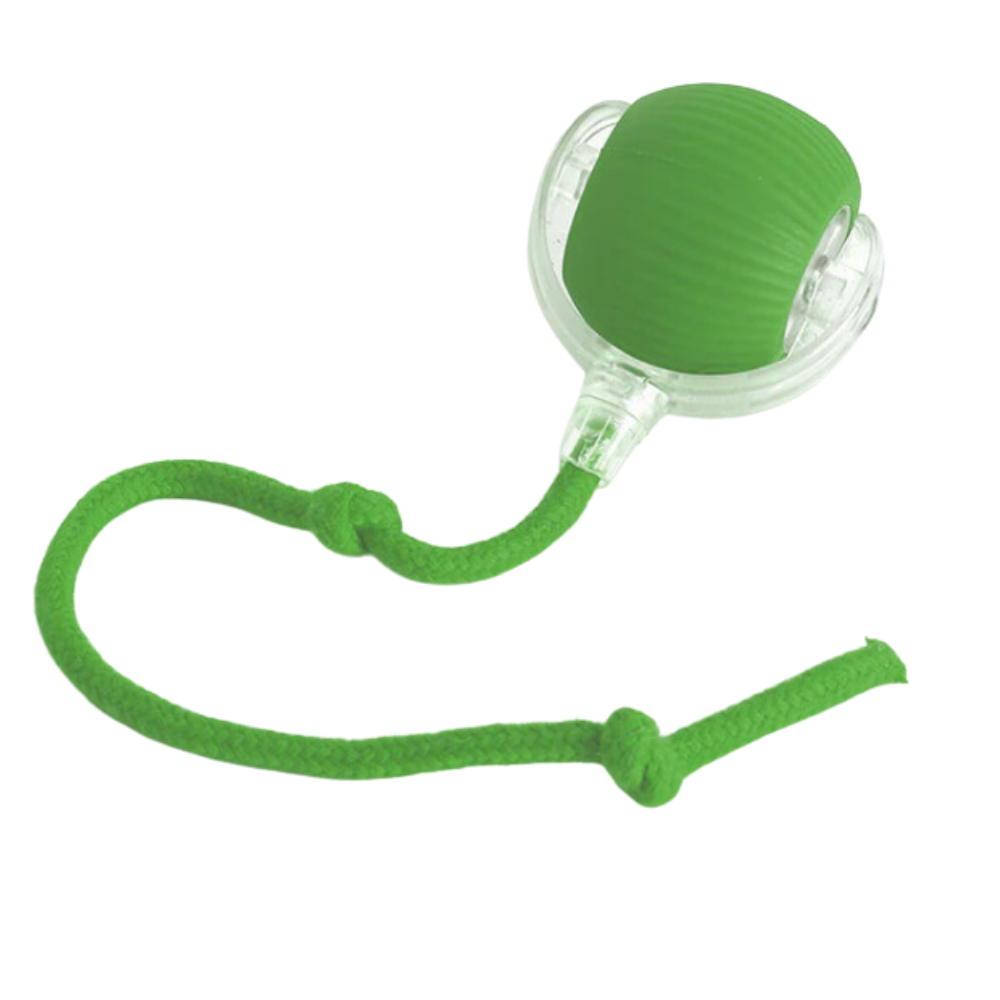Jouet interactif intelligent pour chats -Vert - Ozerty