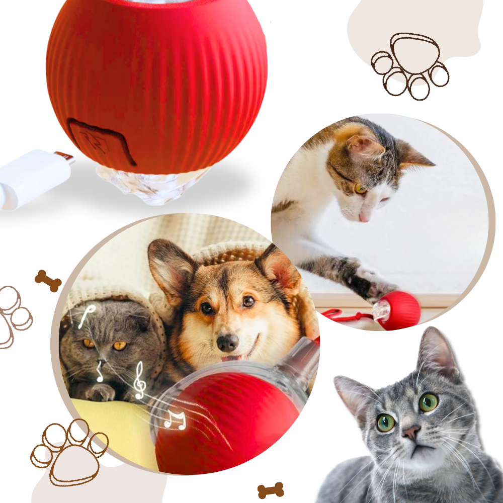Jouet interactif intelligent pour chats - Ozerty