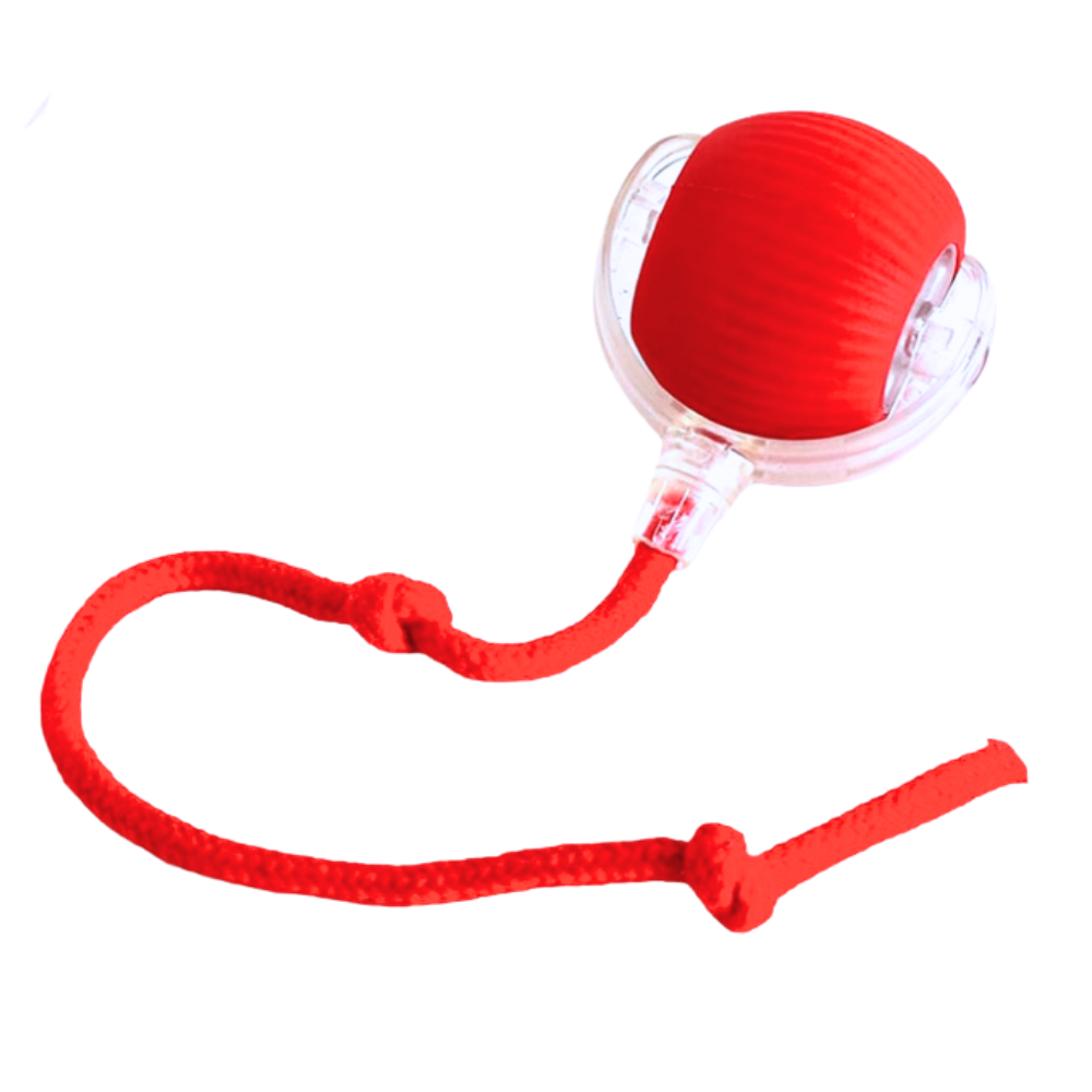 Jouet interactif intelligent pour chats -Rouge - Ozerty
