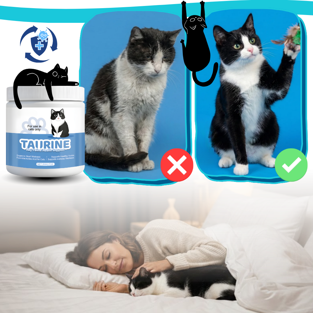 Complément alimentaire à base de taurine pour chats - Ozerty