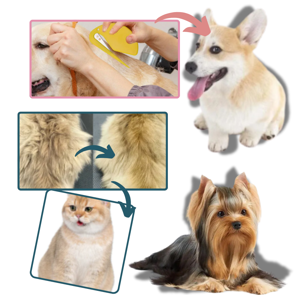 Démêloir polyvalent pour animaux de compagnie
- Ozerty