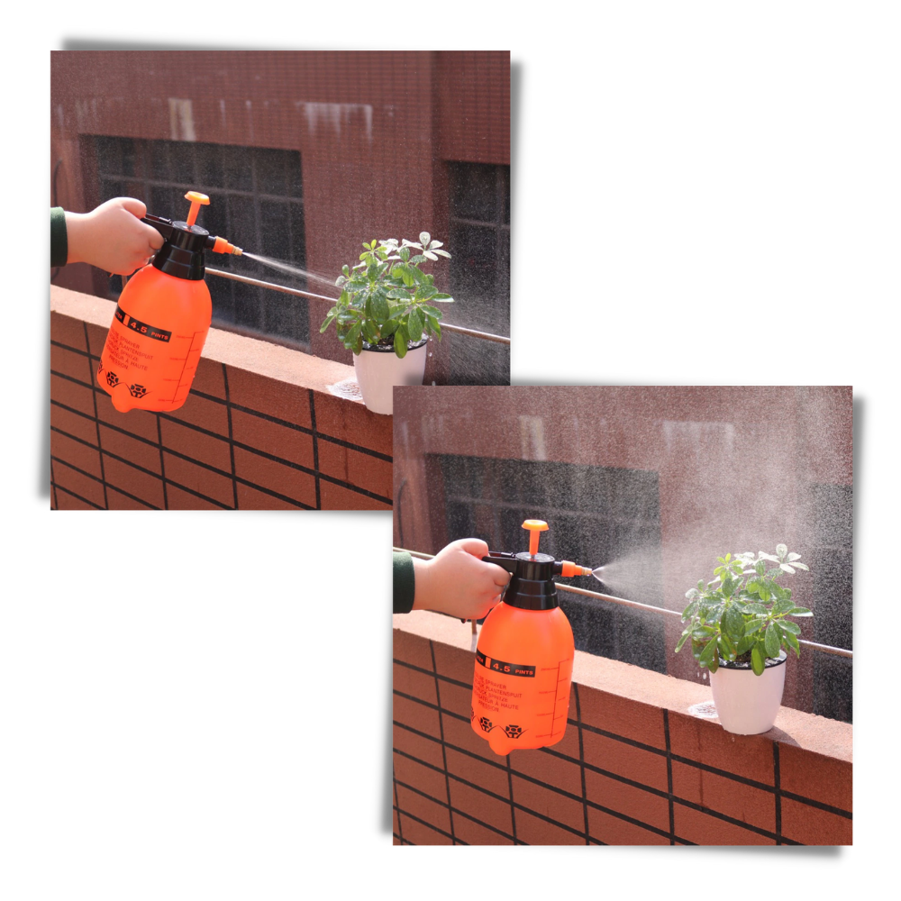 Pulvérisateur de jardin à pompe - Ozerty