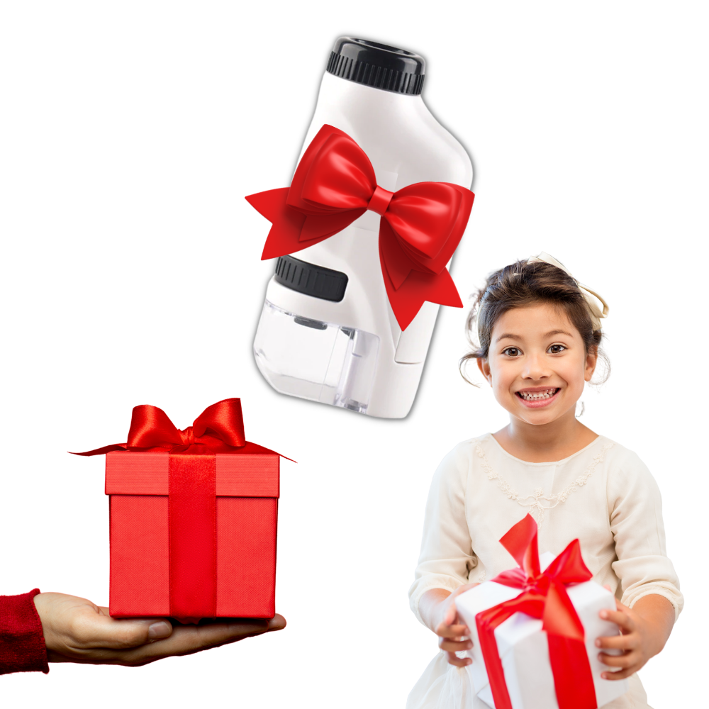 Microscope portatif pour enfants - Ozerty