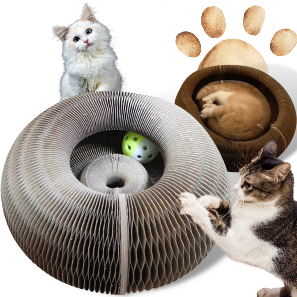 Planche à gratter pour chats - Ozerty
