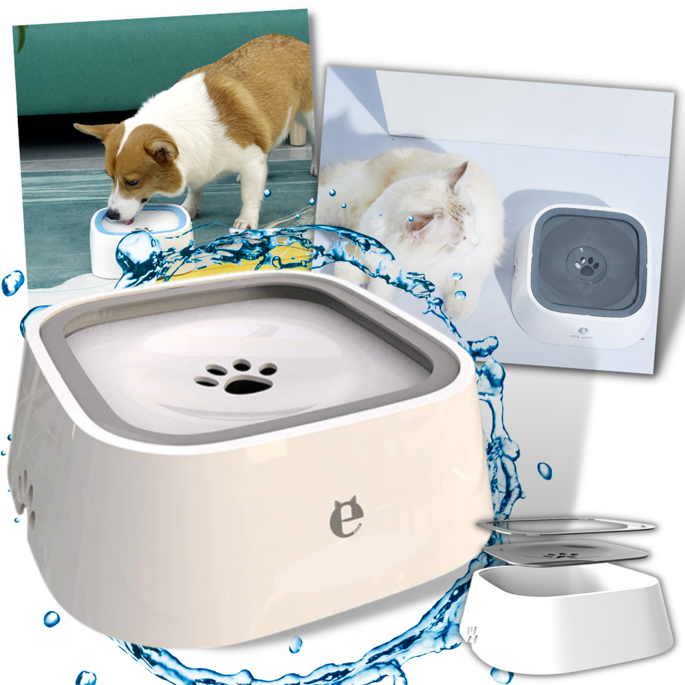 Bol d'eau flottant pour animaux - Ozerty