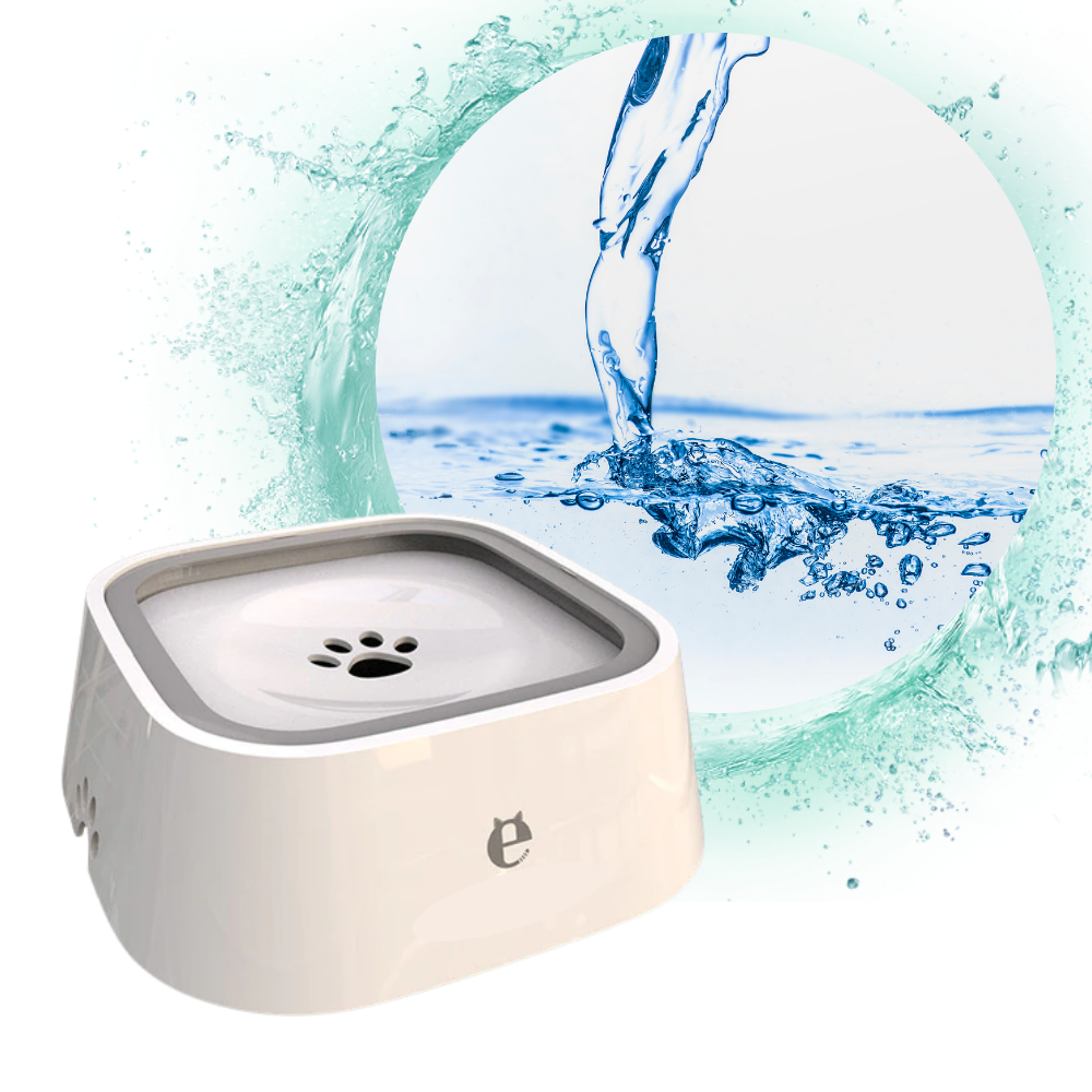 Bol d'eau flottant pour animaux - Ozerty