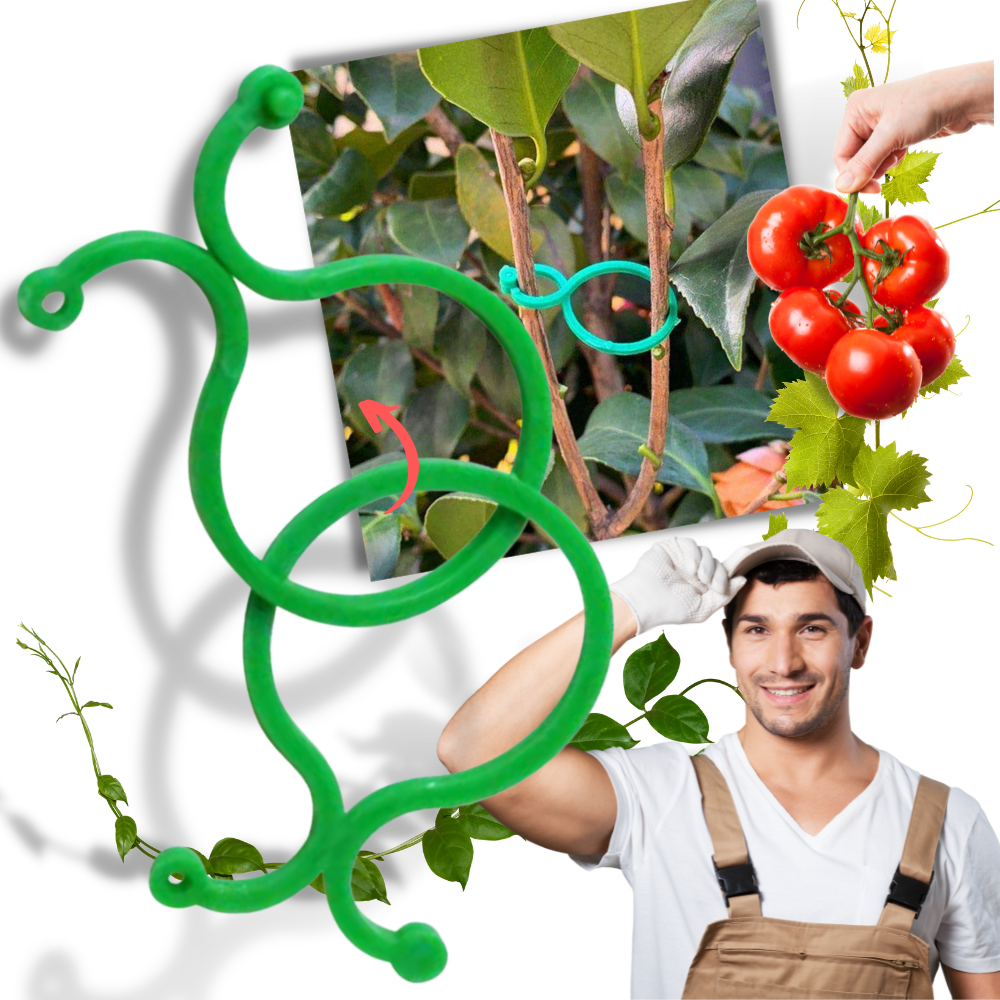 Lot d'attaches pour plantes de jardin - Ozerty