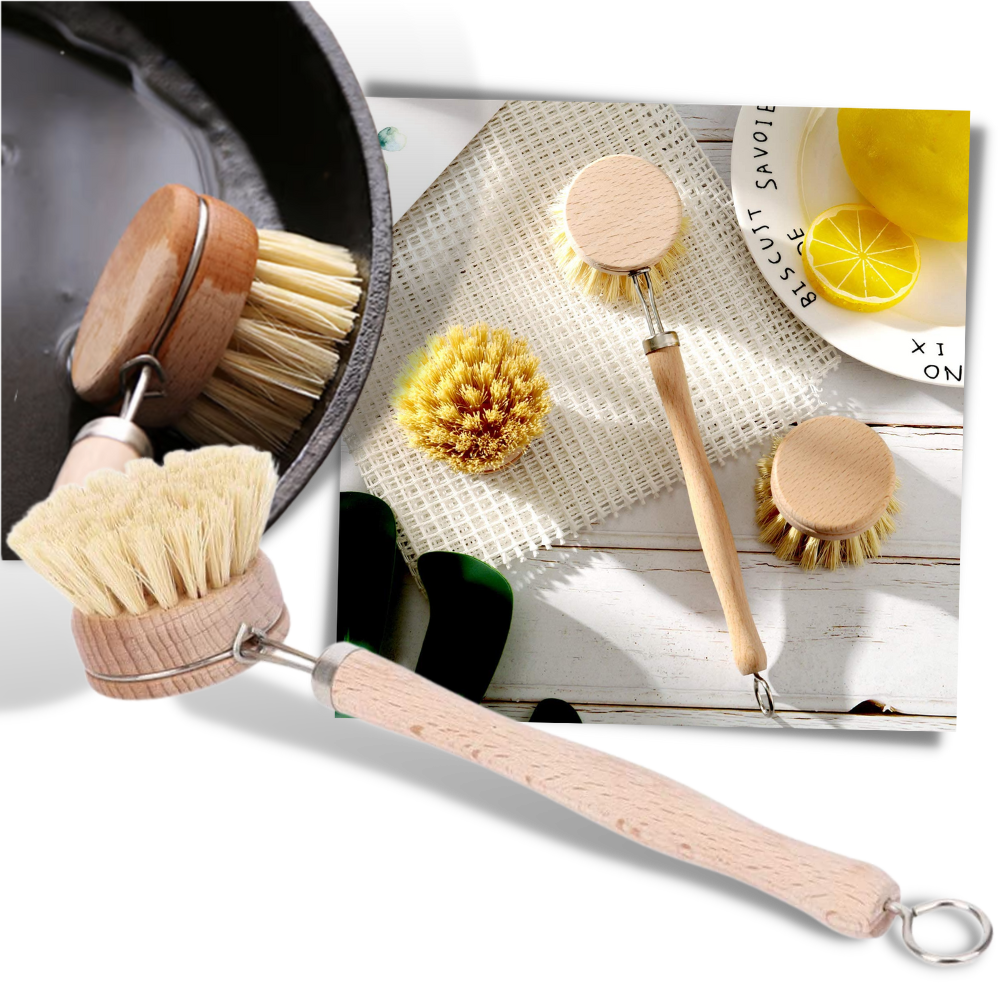 Brosse à récurer écologique - Ozerty