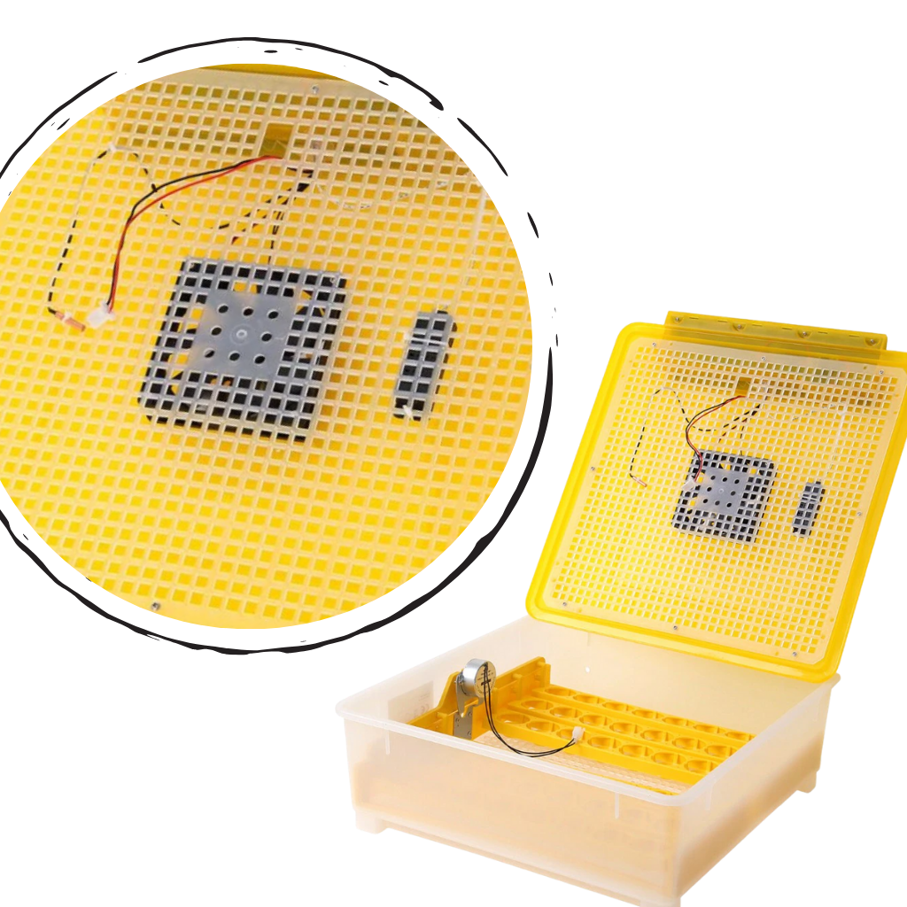 Automatic egg incubator (48 eggs)