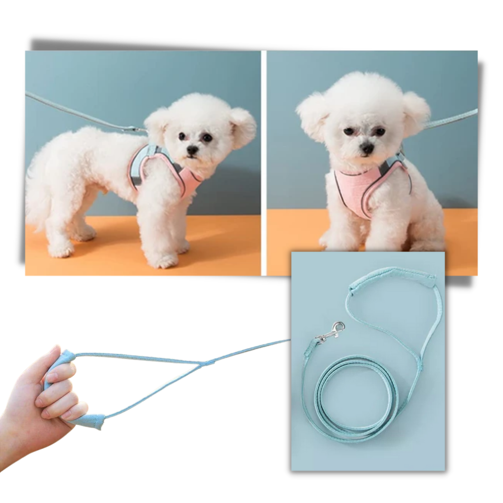 Ensemble harnais et laisse pour animaux - Ozerty