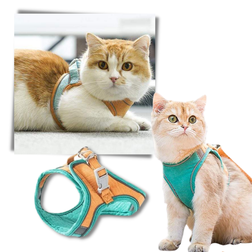 Ensemble harnais et laisse pour animaux - Ozerty