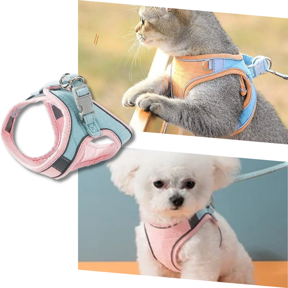 Ensemble harnais et laisse pour animaux - Ozerty
