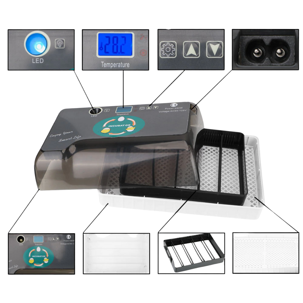 Automatic egg incubator