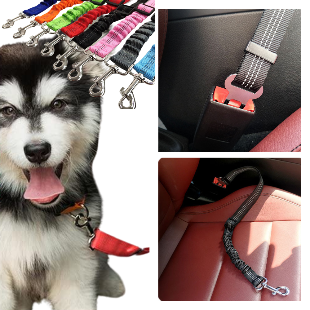 Ceinture de sécurité réglable et résistante pour chiens en voiture - Ozerty