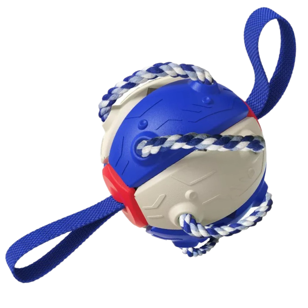 Ballon de frisbee pour chien - Ozerty