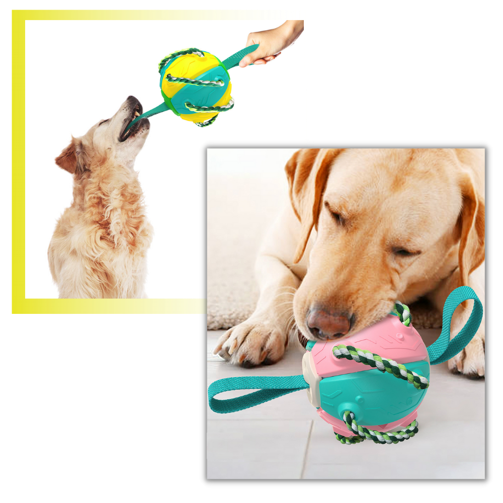 Ballon de frisbee pour chien - Ozerty
