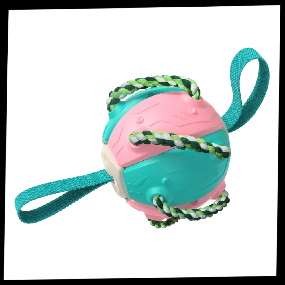 Ballon de frisbee pour chien - Ozerty