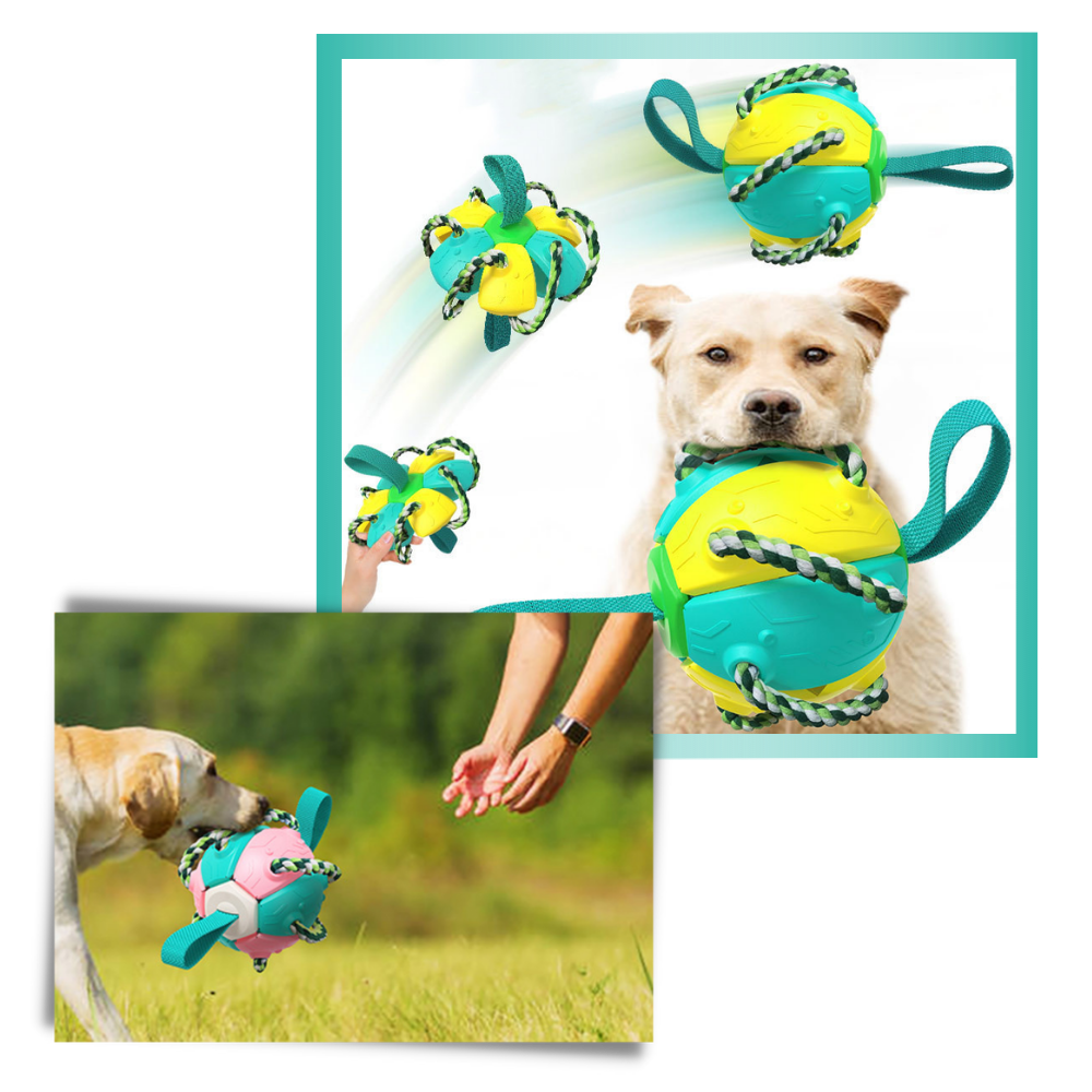 Ballon de frisbee pour chien - Ozerty