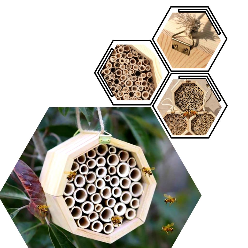 Maison d'abeilles hexagonale en bois - Ozerty